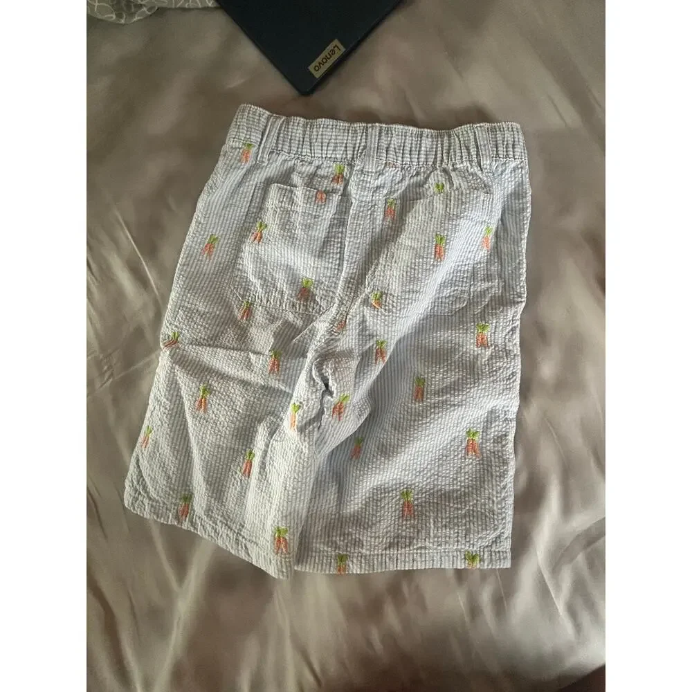 Gymboree blue seersucker carrots Shorts size 6